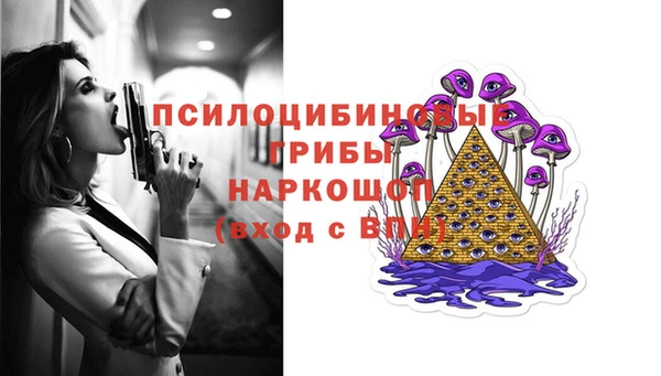 молекула духа Белоозёрский