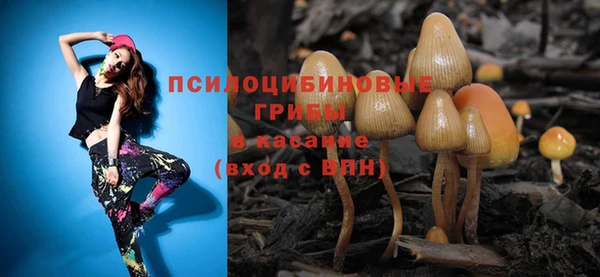 ешки Беломорск